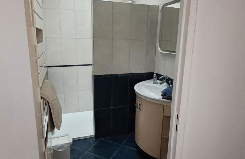 Bléré maison centre ville proche Beauval et Chenonceau - Foto 11