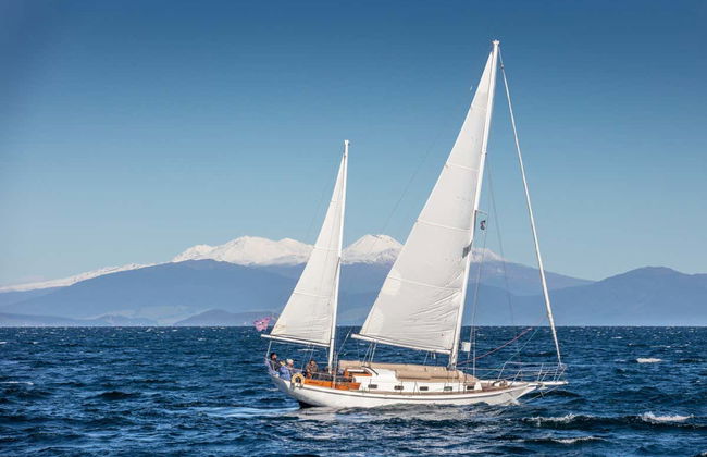 Māori Rock Carvings Sailing Tour - Photo 5