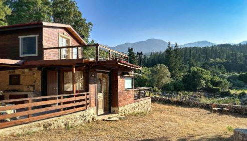 The Root House - Crete Stay - Foto 3