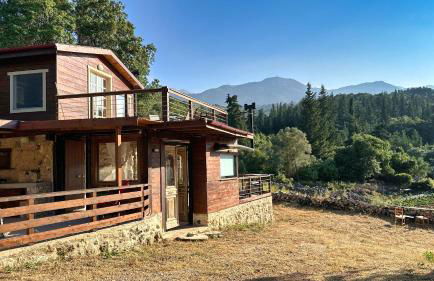 The Root House - Crete Stay - Foto 3