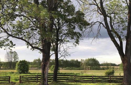 Moje Podlasie - Dom w Siemichoczach - Foto 25