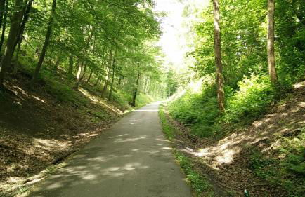 Gite des 2 chênes entre Avenue verte, Lacs, Piscine et Casino - Foto 30