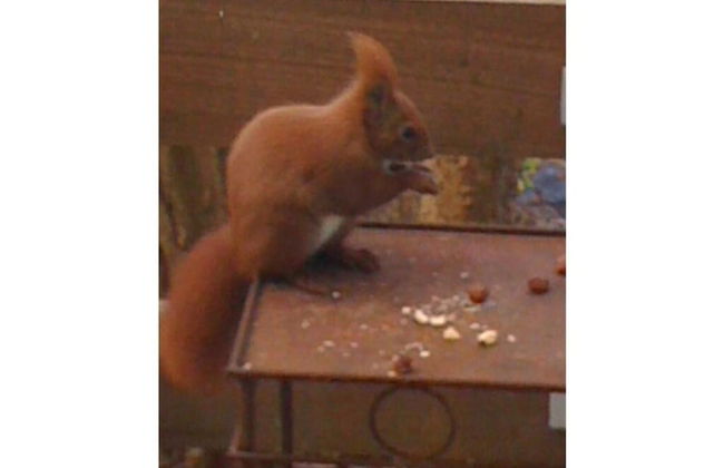 Holiday House House by the Lake - Foto 7