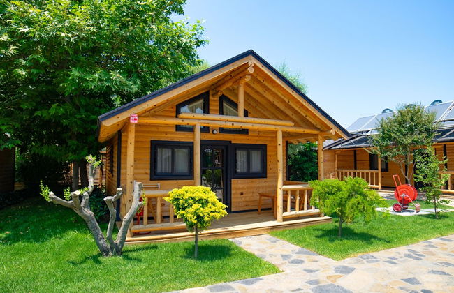 MUKHA ORMANLİ - Photo 10