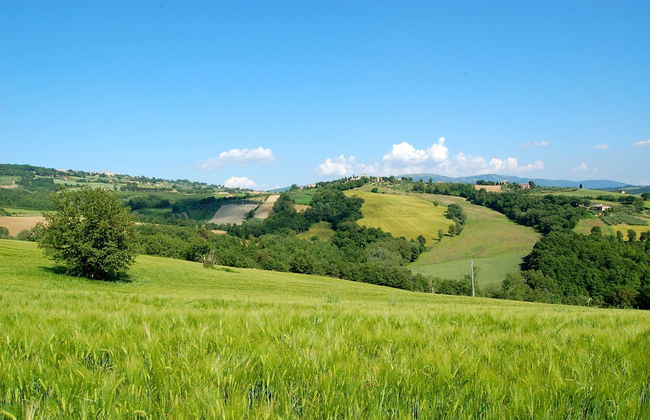 Agriturismo Casale dei Frontini - Foto 68