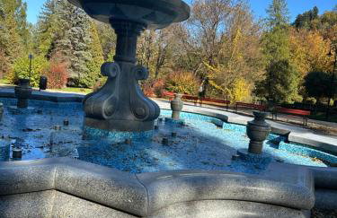 Różany Ogród - Foto 8