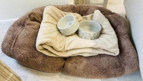 The Bluebell Porthmadog - Foto 2