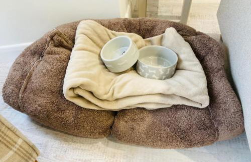 The Bluebell Porthmadog - Photo 2