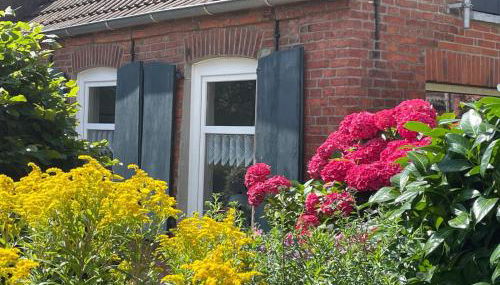 Warfkenidüll - Photo 5, Garden