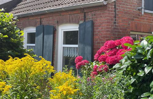 Warfkenidüll - Foto 5