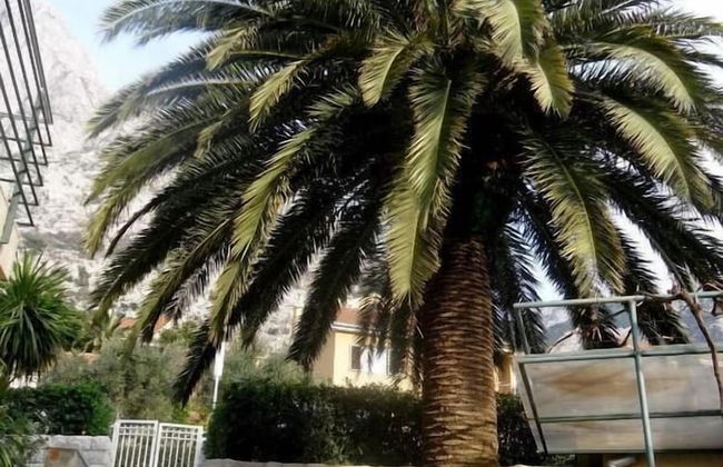 Palma Apartments - Foto 54