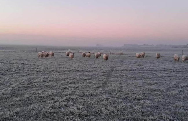 Lakeside Villa Near Sneekermeer - Foto 27