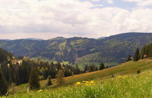 RelaxApartments BLACK FOREST DIAMOND direkt an der Hornberger Freilichtbühne - Sonnenterrasse mit Blick auf das Hornberger Schloss, schnelles Internet, für bis zu 2 Personen - Foto 15