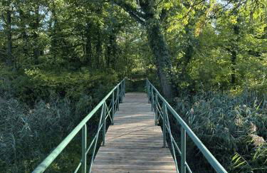 Gutshaus Lietzow - Foto 8