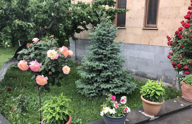 Villa in Nork - Foto 41