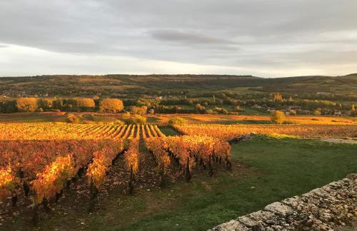 Cottage Apolline - Foto 12