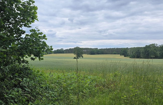 Agroletnica Country house - Foto 61