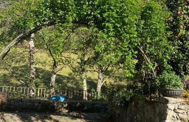 EL VIEJO MOLINO - Foto 39