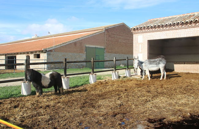 Complejo Rural Puente Romano - Foto 31