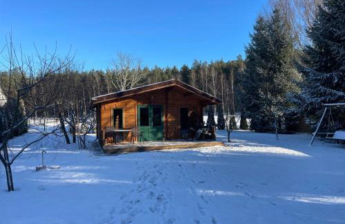 Sercem i Kopytem - Foto 3