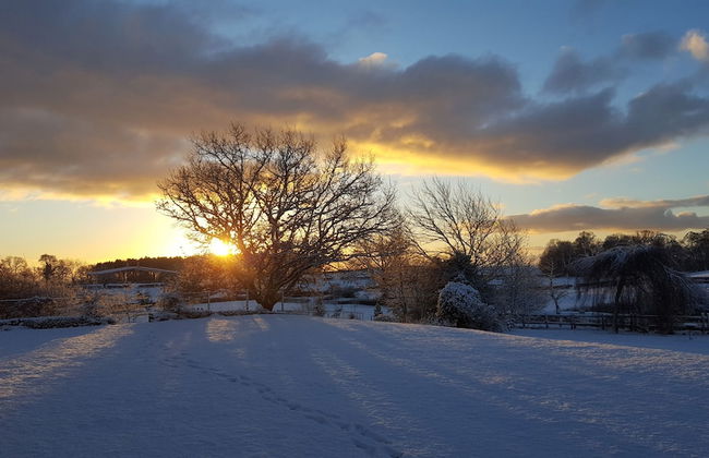 Courtyard Cottage - Photo 26