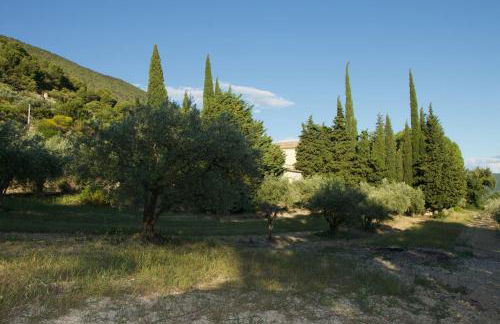 Mas provençal La Serallère au coeur des oliviers - Foto 16