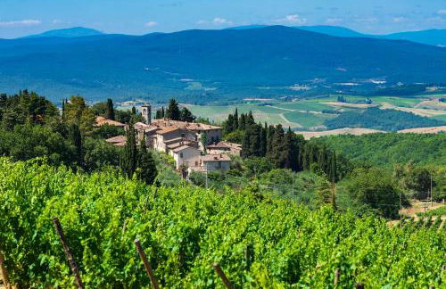 Castello di Fonterutoli Wine Resort - Foto 51