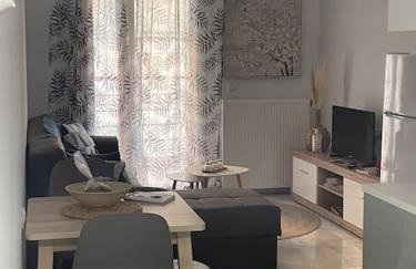 VPG Central Luxury Apartment - Foto 8