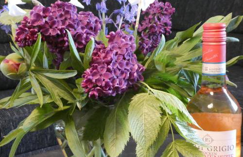 Sommerwind - Foto 10