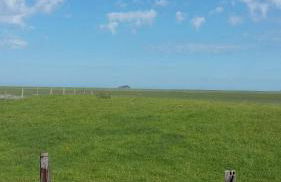 Ferme de la Ruette - Foto 9