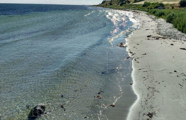 "Miona" - 725m from the sea - Foto 8