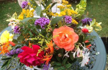 Rose Cottage - Foto 8