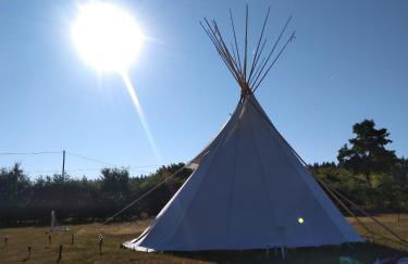 Heidehof Hellenthal - Foto 35