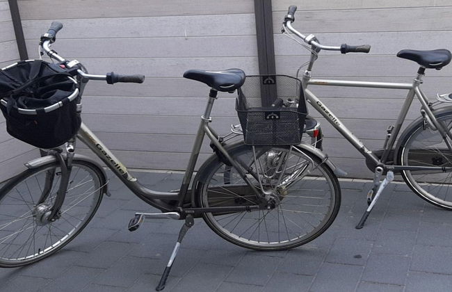 Holiday Apartment North Sea - Foto 16