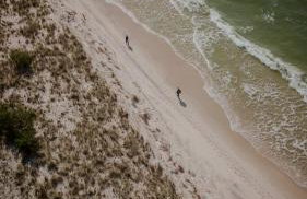 Zen Sasino - Foto 46