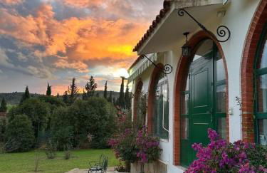 Casita Higo - Foto 24