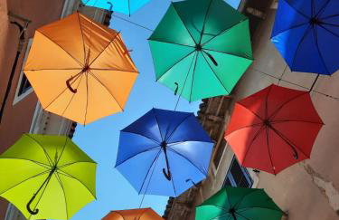 Old Harbour - Photo 25