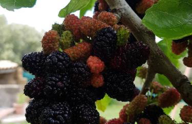 Borgo Santa Lucia - Photo 42