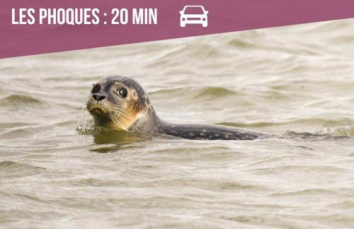 22- Studio Augustine - Vue Mer - Parking gratuit- 4 pattes bienvenues - AULT ONIVAL - Foto 22