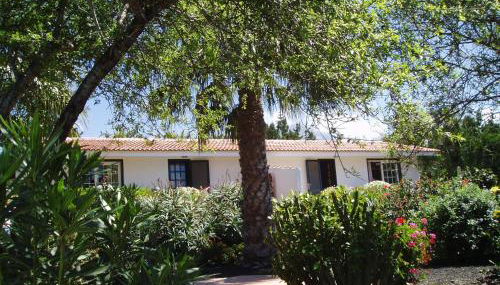 Casitas Vista Valle Alto - Foto 3