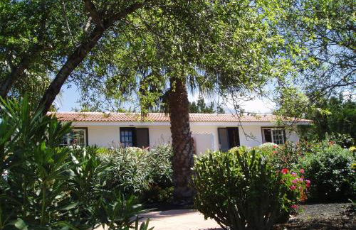 Casitas Vista Valle Alto - Foto 3