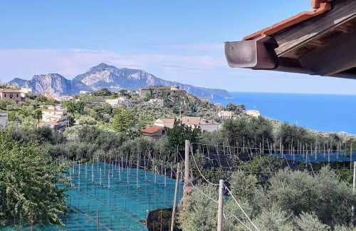 La Lobra Dépendance - Foto 39