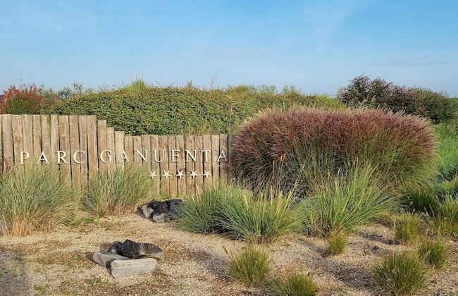 Holiday Home in Zeeland With Sauna - Photo 36