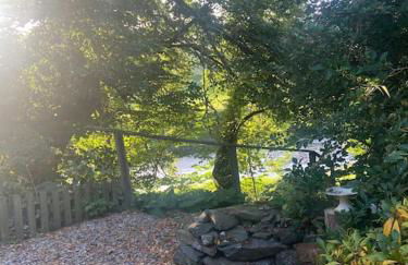 Homely and cosy cottage in the Scottish Borders - Foto 26