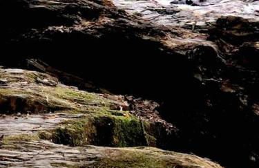 Wohnen direkt am Moselstrand - Foto 29