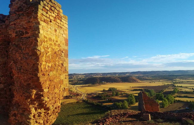 Visite privée du château de l'Étoile - Photo 6