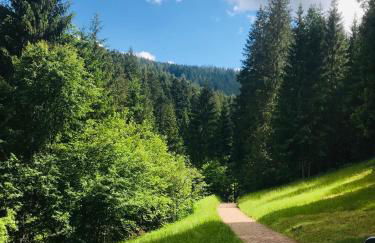 Haus Jenni im Schwarzwald, 3,5-Zimmer, große Terrasse - Foto 52