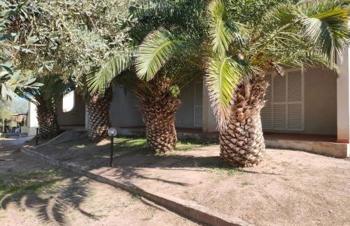 Villa del Palmeto - Foto 4