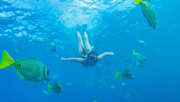 Banderas Bay Sailboat Cruise - Foto 5