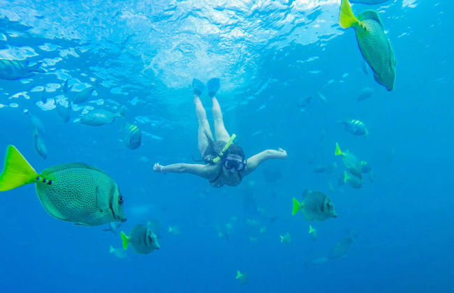 Banderas Bay Sailboat Cruise - Foto 5